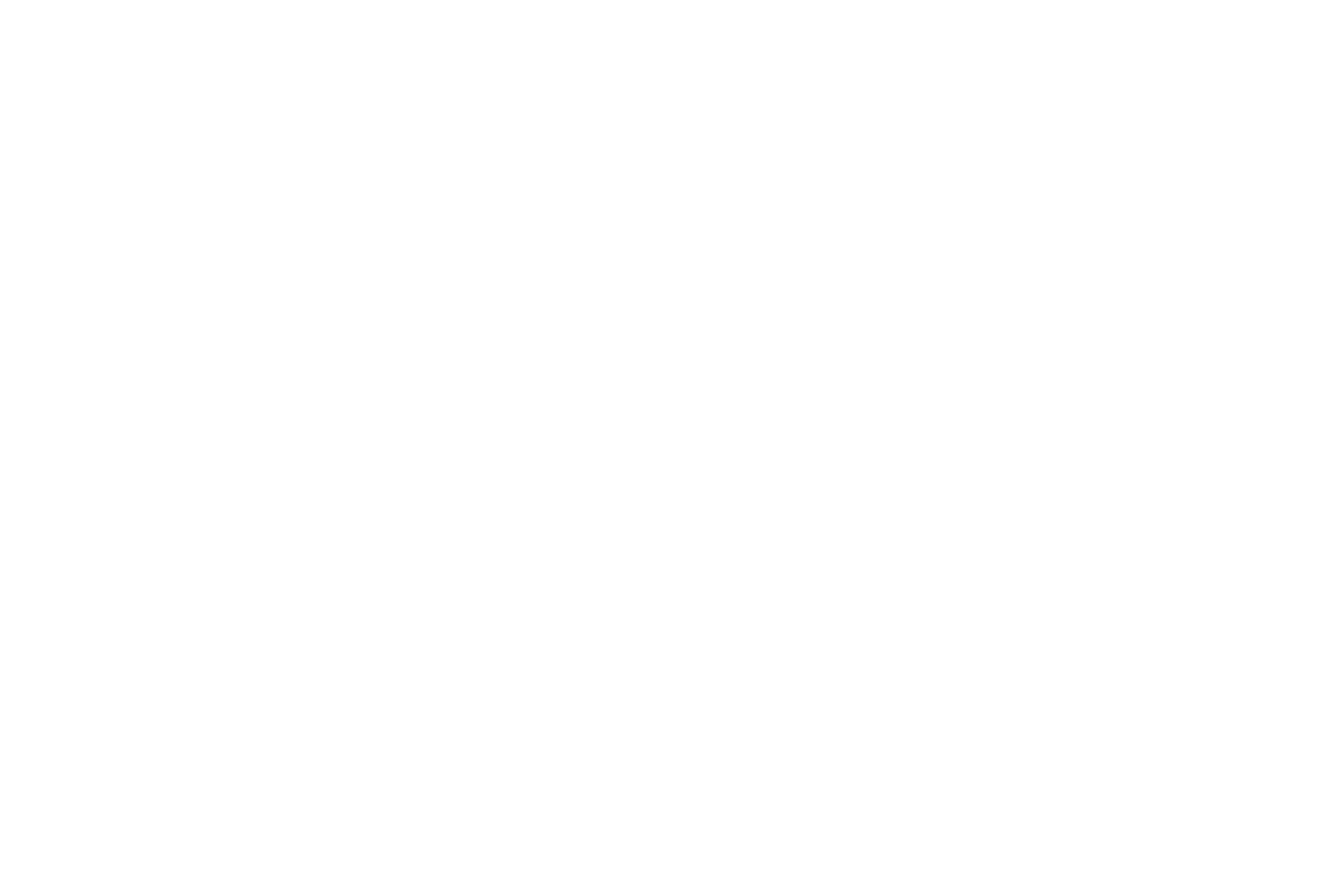 CodeLines Logo